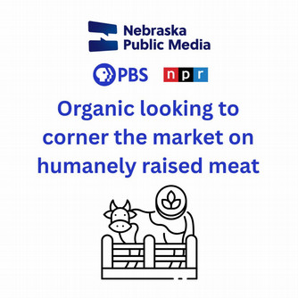 Screen shot from NPR website with words Organic Looking to Corner the Market on Humanely Raised Meat
